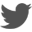 Icon description
